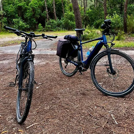 Independante Au Calme, Petit-dejeuner Inclus 3*