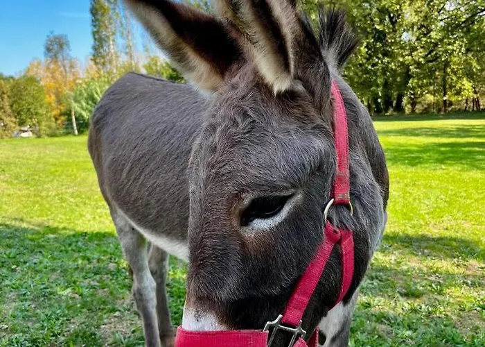 Independante Au Calme, Petit-dejeuner Inclus Arthes