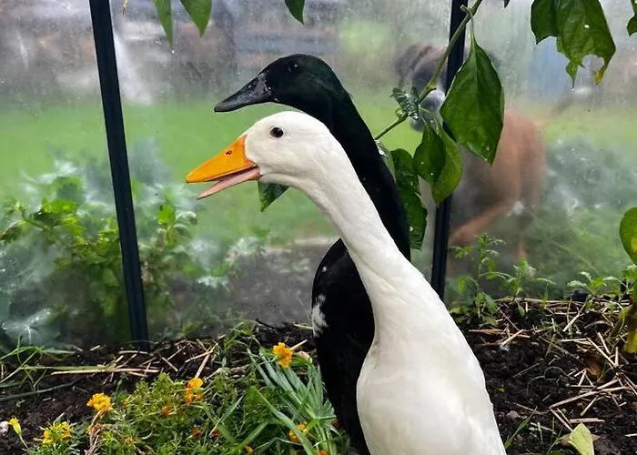 Independante Au Calme, Petit-dejeuner Inclus Bed & Breakfast Arthes