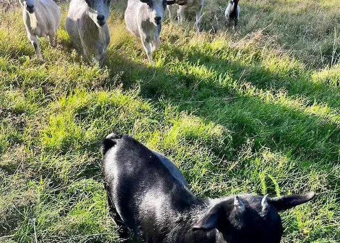 Independante Au Calme, Petit-dejeuner Inclus Arthes