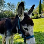 Independante Au Calme, Petit-dejeuner Inclus 3* Arthes