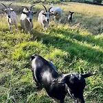 Independante Au Calme, Petit-dejeuner Inclus Arthes