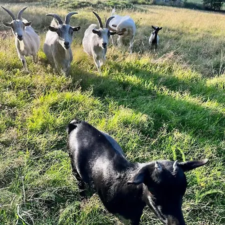 Independante Au Calme, Petit-dejeuner Inclus Arthes