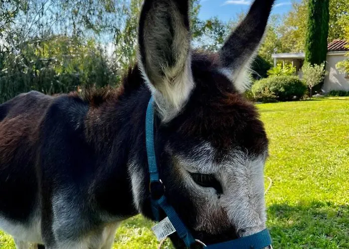 Independante Au Calme, Petit-dejeuner Inclus 3* Arthes